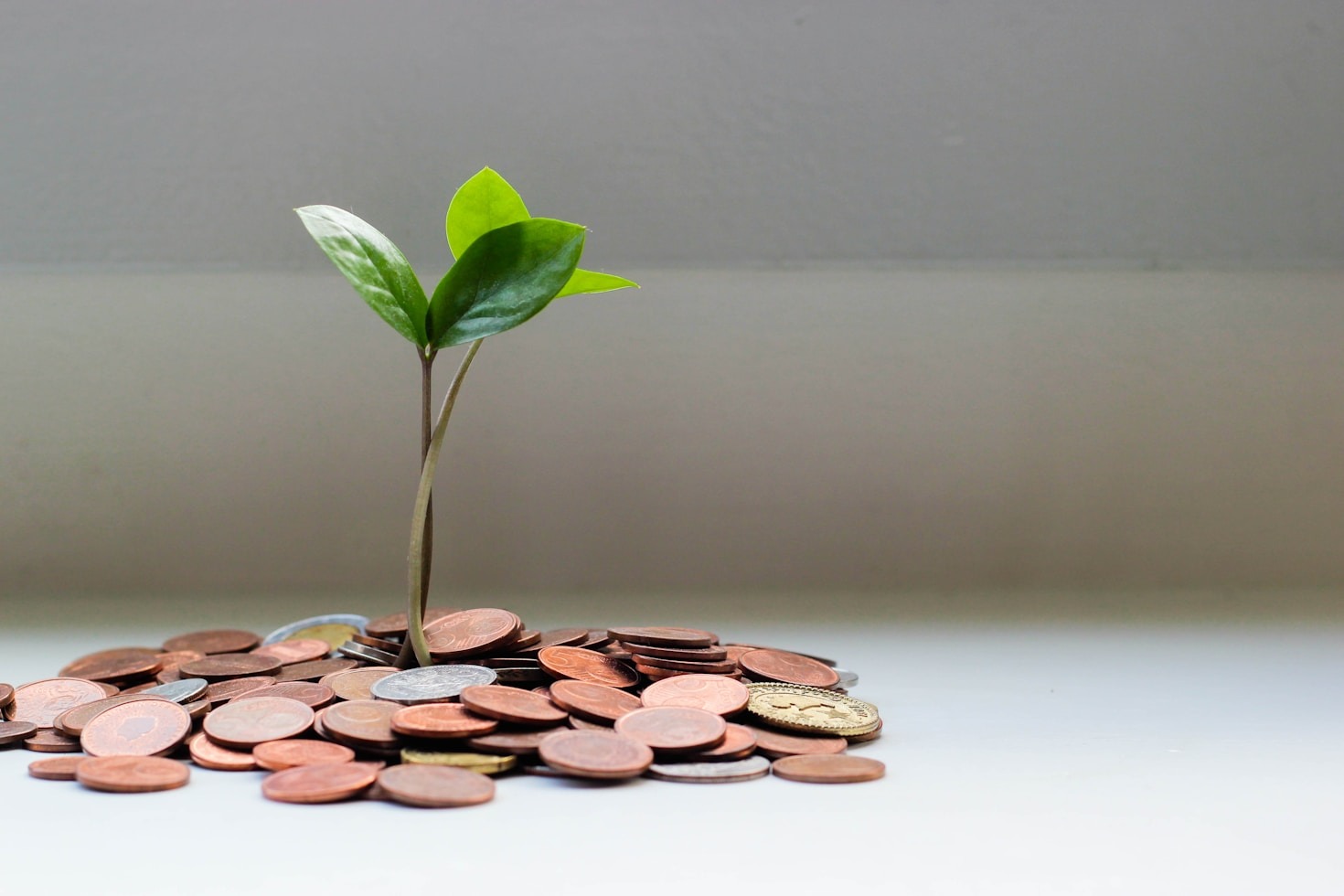Un vistazo al futuro de las inversiones para principiantes y expertos